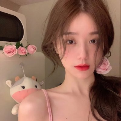 巴德美因霍夫